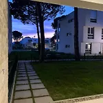 Pine At San Pietro