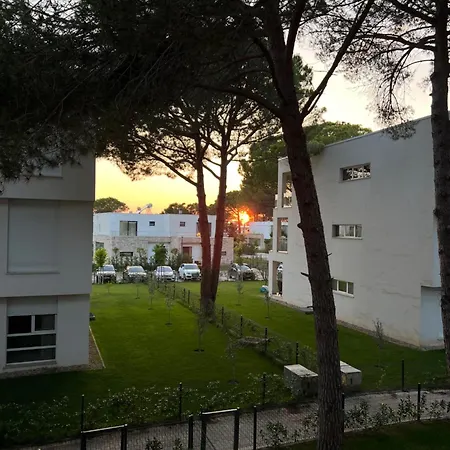 Pine At San Pietro Apartmán